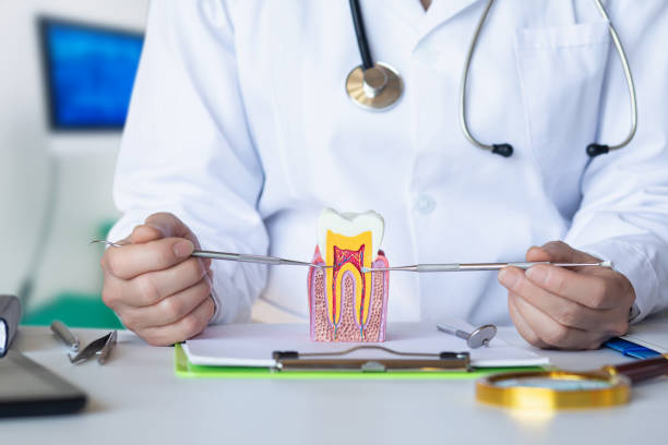 Best Emergency Dentist for Knocked-Out Tooth in Postville, IA
